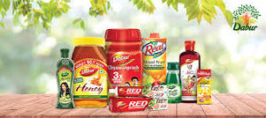 Dabur India Q2 FY2025-26 Results: Revenue, Profit, Analysis & Management Outlook 2 download 8 7