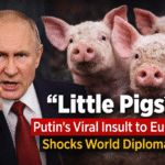 putin said little pig to european leaders